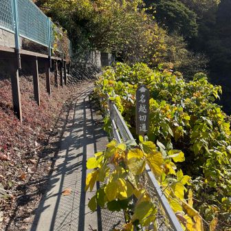 民家の裏手のような場所を抜けて
足元不安定な歩道