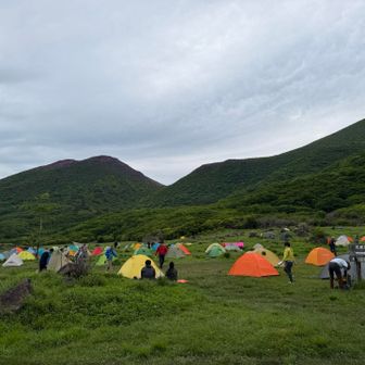 各県より来訪している様子。Youtuberもかなり見かけた。
