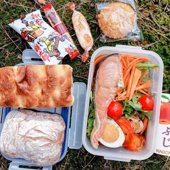 やっと春菊が出てきました　春菊は生でサラダとして食べられます（あさイチ調べ）　しかし今年は葉物が高い😮‍💨
特売で売ってた北海道の塩鮭を保冷剤代わりの自然解凍　紅鮭が好きなんですが本当に高くなっていて困る😮‍💨