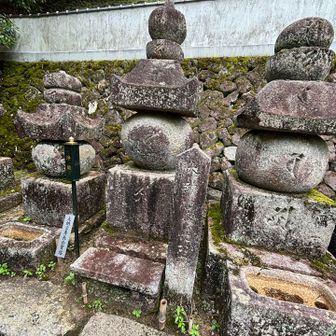 豊臣秀長の供養塔だそう