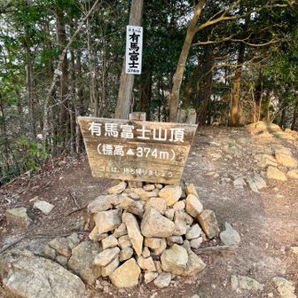 T型ポールを試しに山頂へ