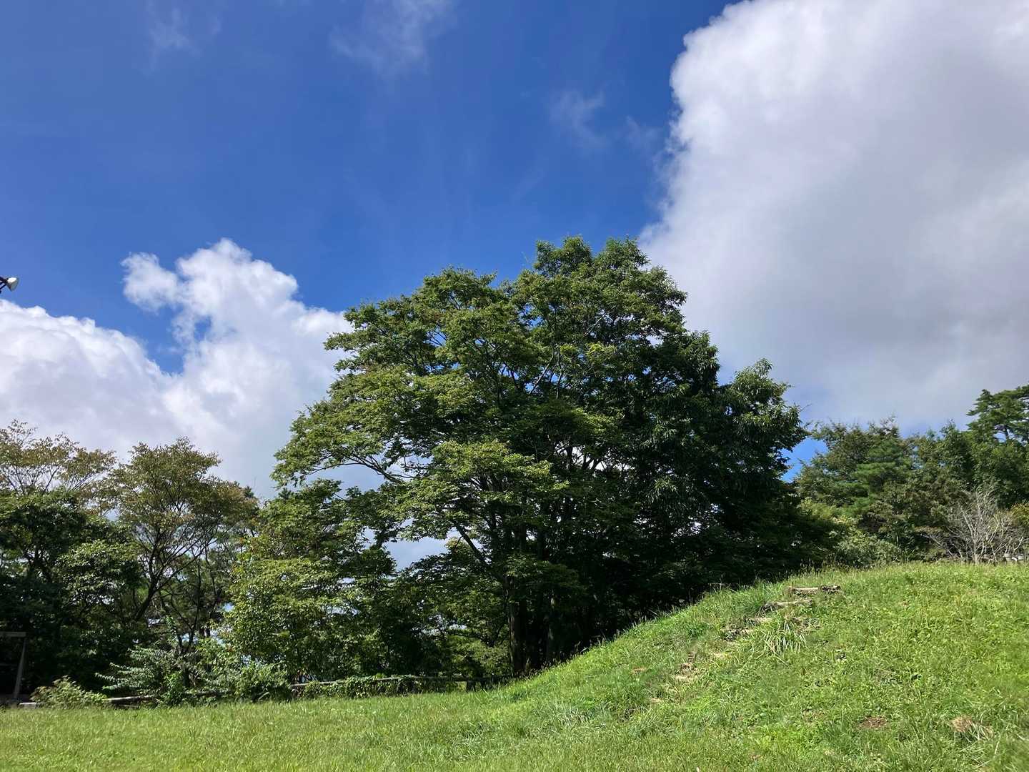 山のおもてなし｜千早本道から登る金剛山王道登山の写真