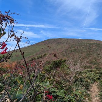 箕輪山