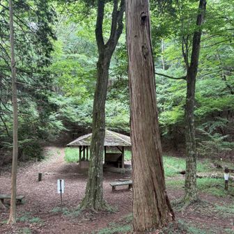 浅間峠

ここから檜原村側に下りてゆく計画です