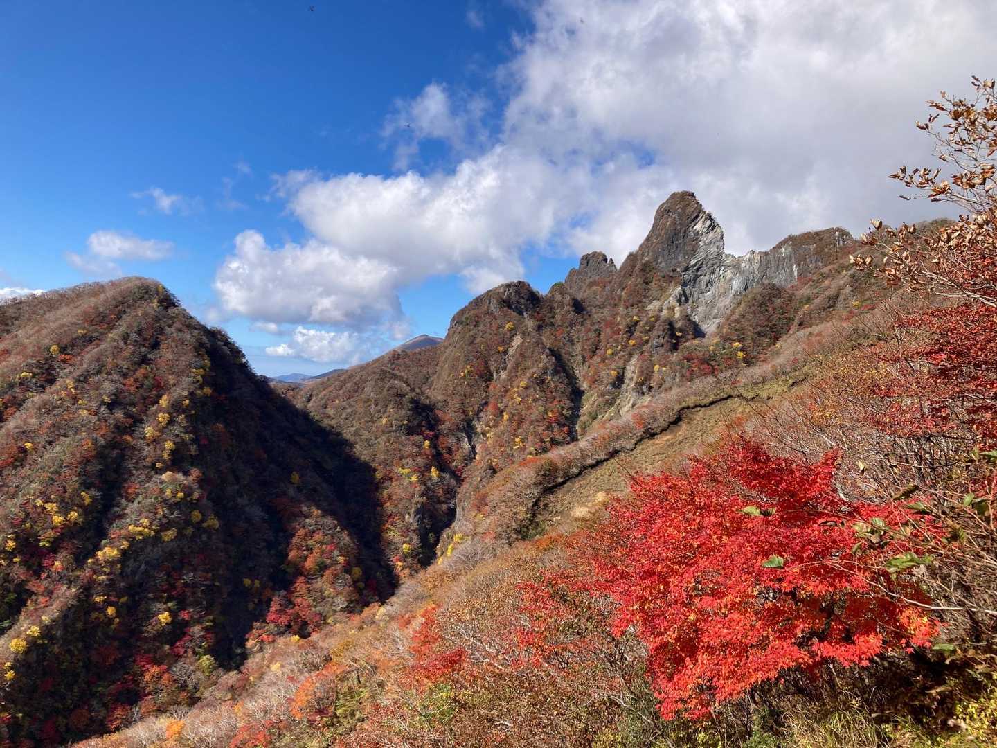さて、ここまで着くのに結構かかった笑笑
紅葉祭りに脚が進まない🤣
そしてこの絶景✨
山肌がパッチワークになってる✨