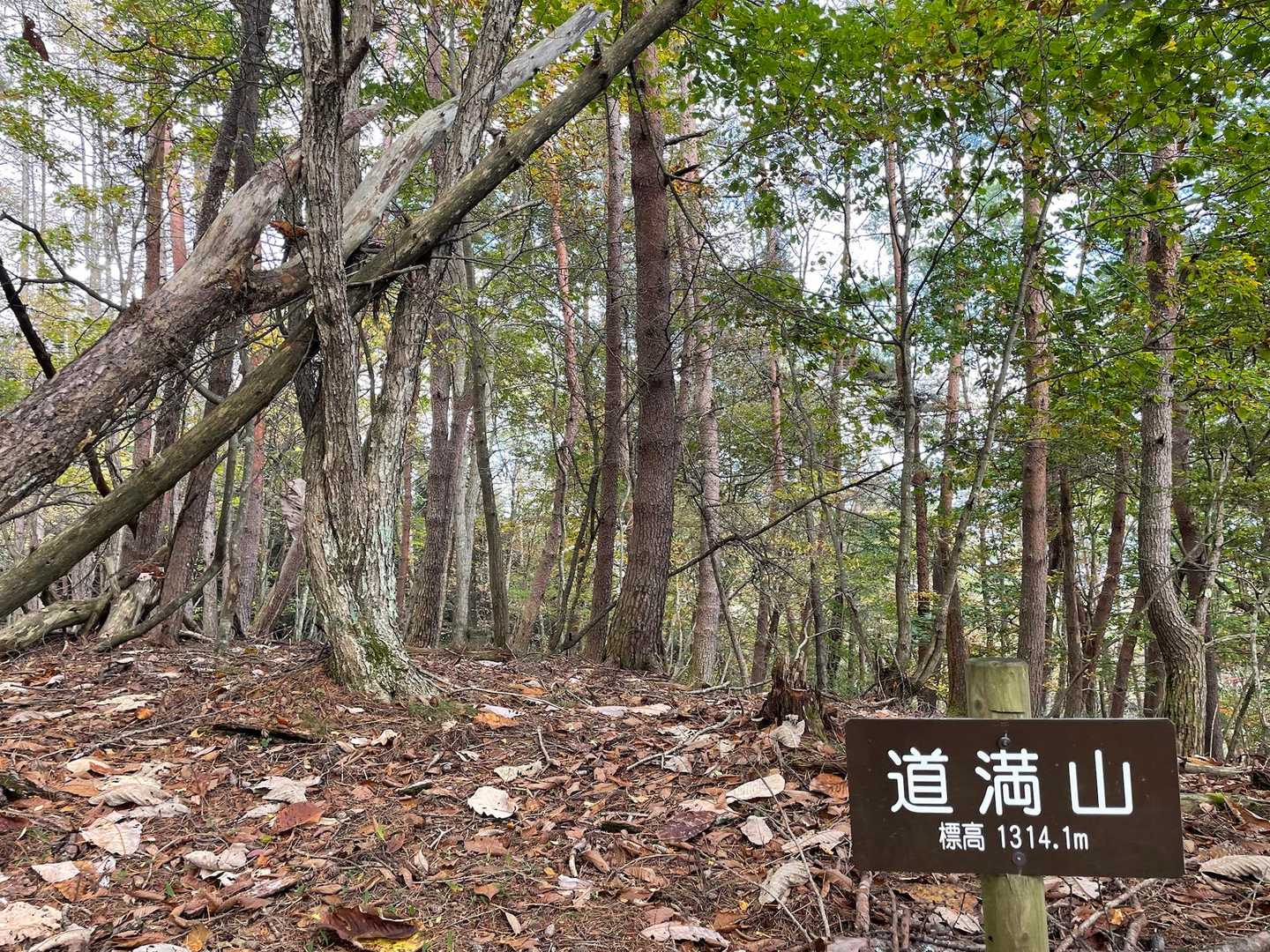 下山したﾙｰﾄの途中にあったPeak。
眺望はありまてん🙅‍♂

なんて読むんだへ???