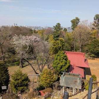振り向いて
所沢のビル群が見えます