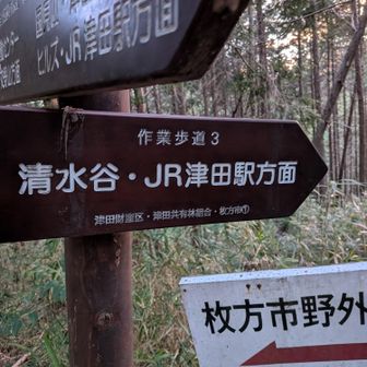 このルートで戻リたかったけど今回はパス