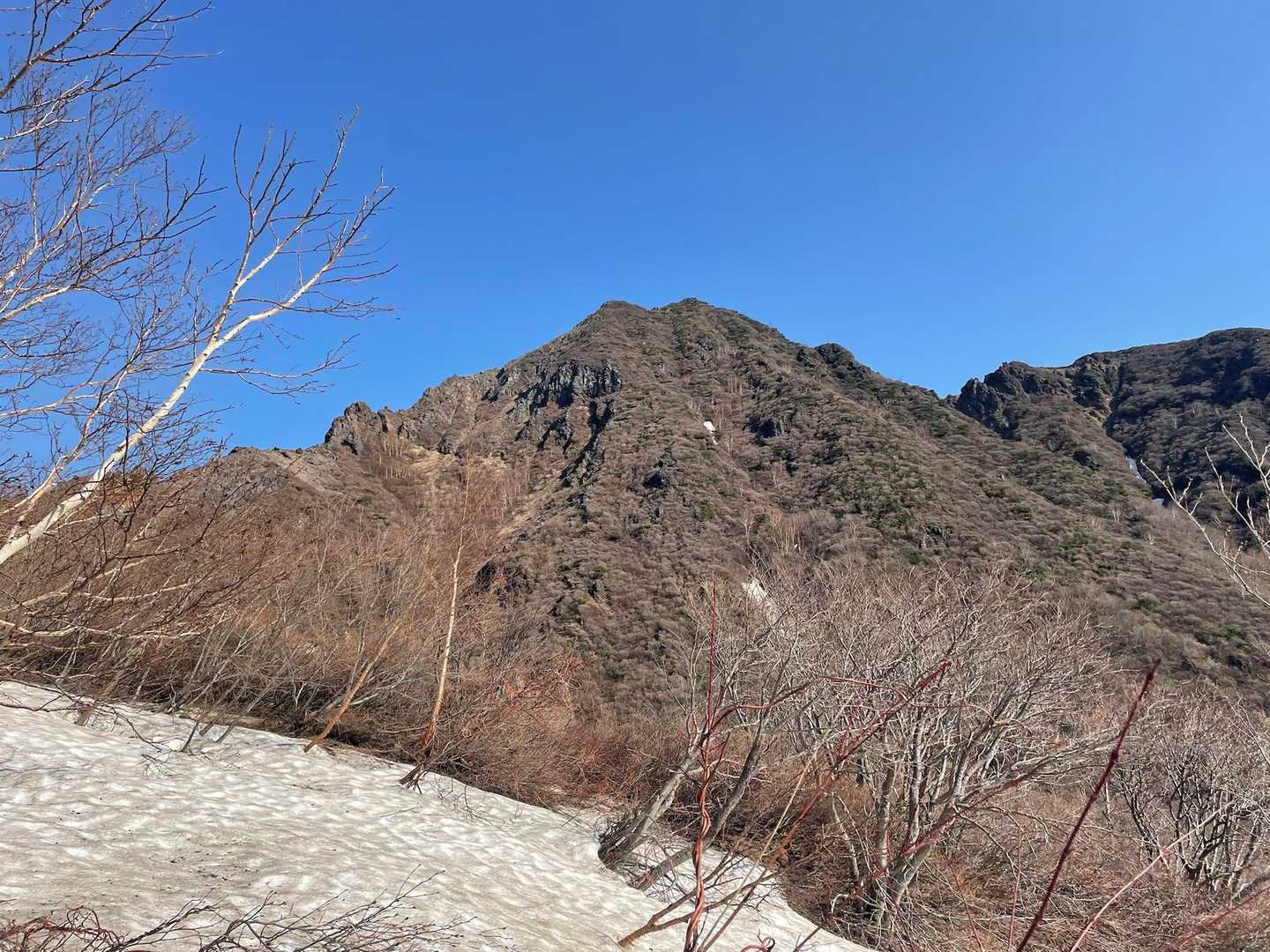 歩いてすぐ見られる景色✨
もう満足度高し😁