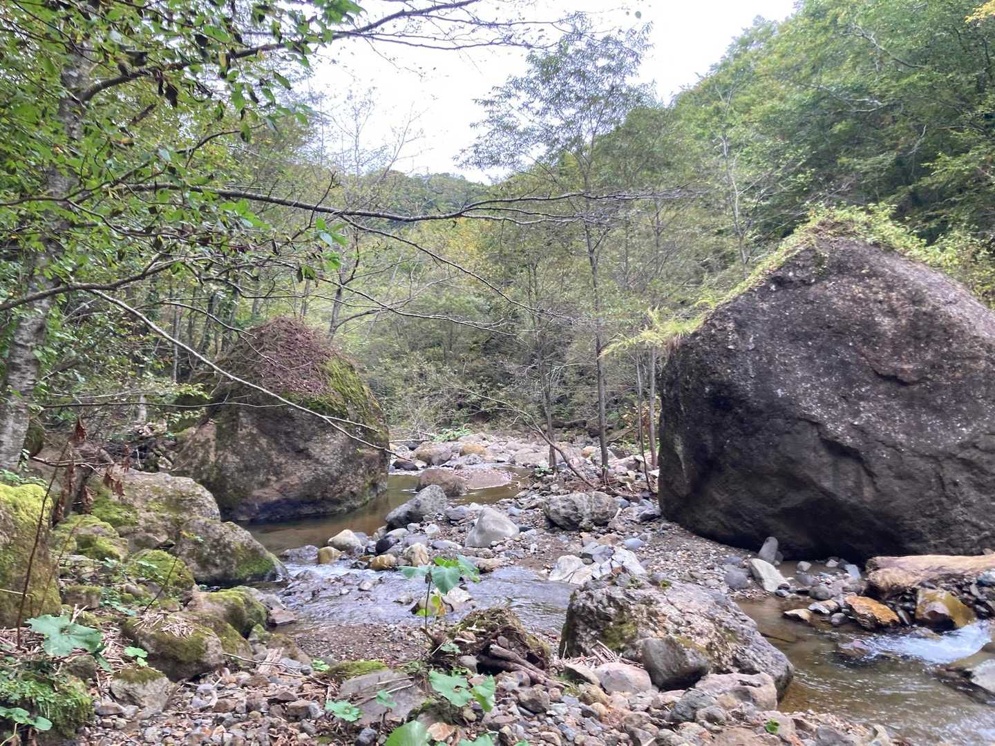 大きな岩ゴロゴロ🪨🪨