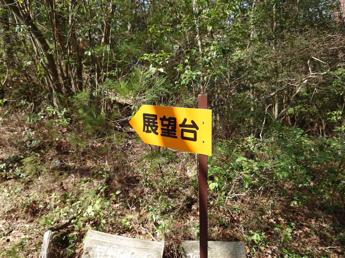 ちょっと行ってみる🐾