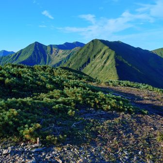 1856？
テン場には最適だけど、ここまでデカ重ザックを運べるのかが問題🌿
復路でスライドした男性2名がここを目指す模様、ご無事をただただ願います🙏