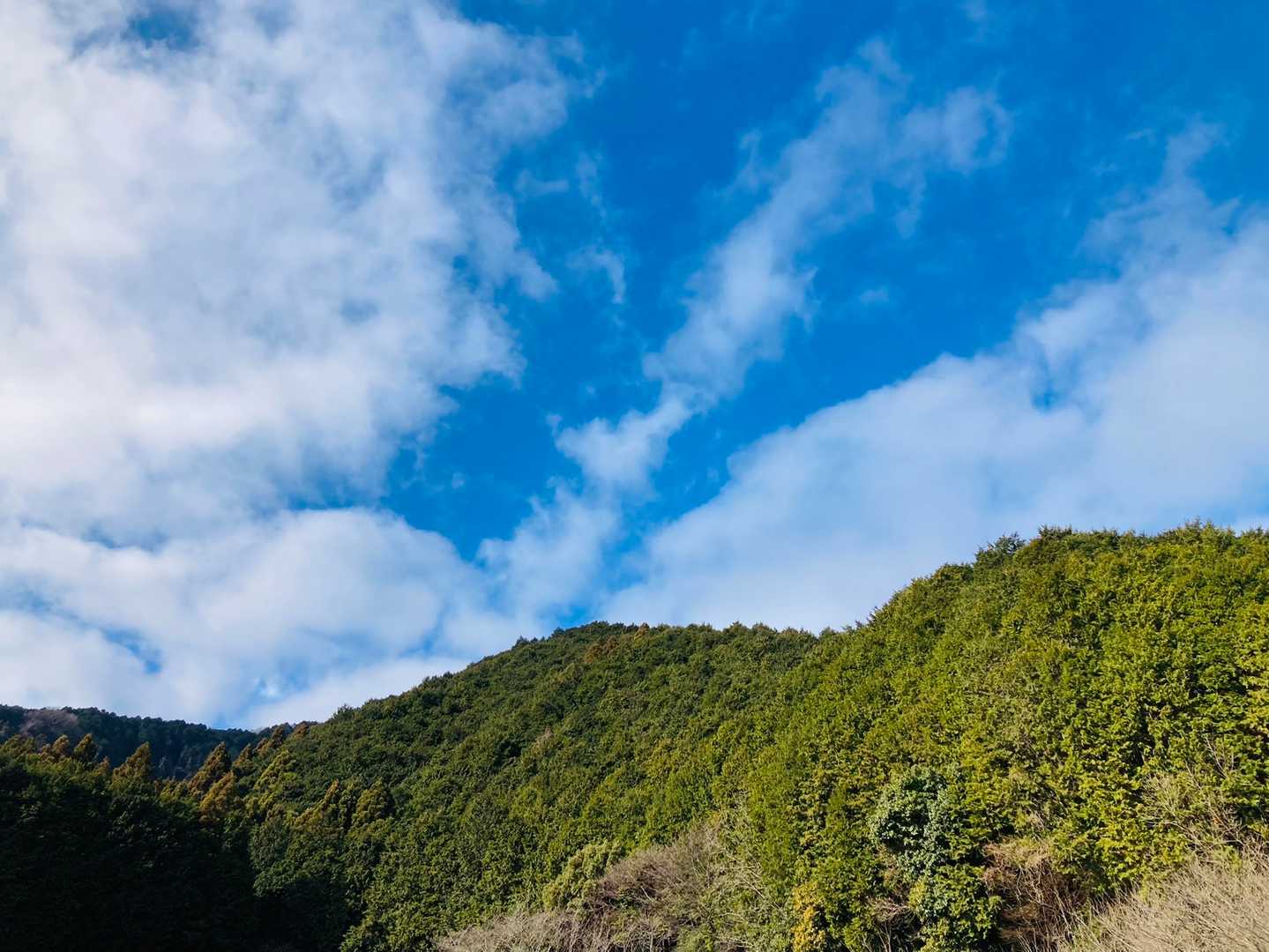 青空見えてきた🎵