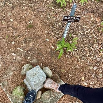 本日は初ピークはなかったけども
こちらラストピークの岩室山👣