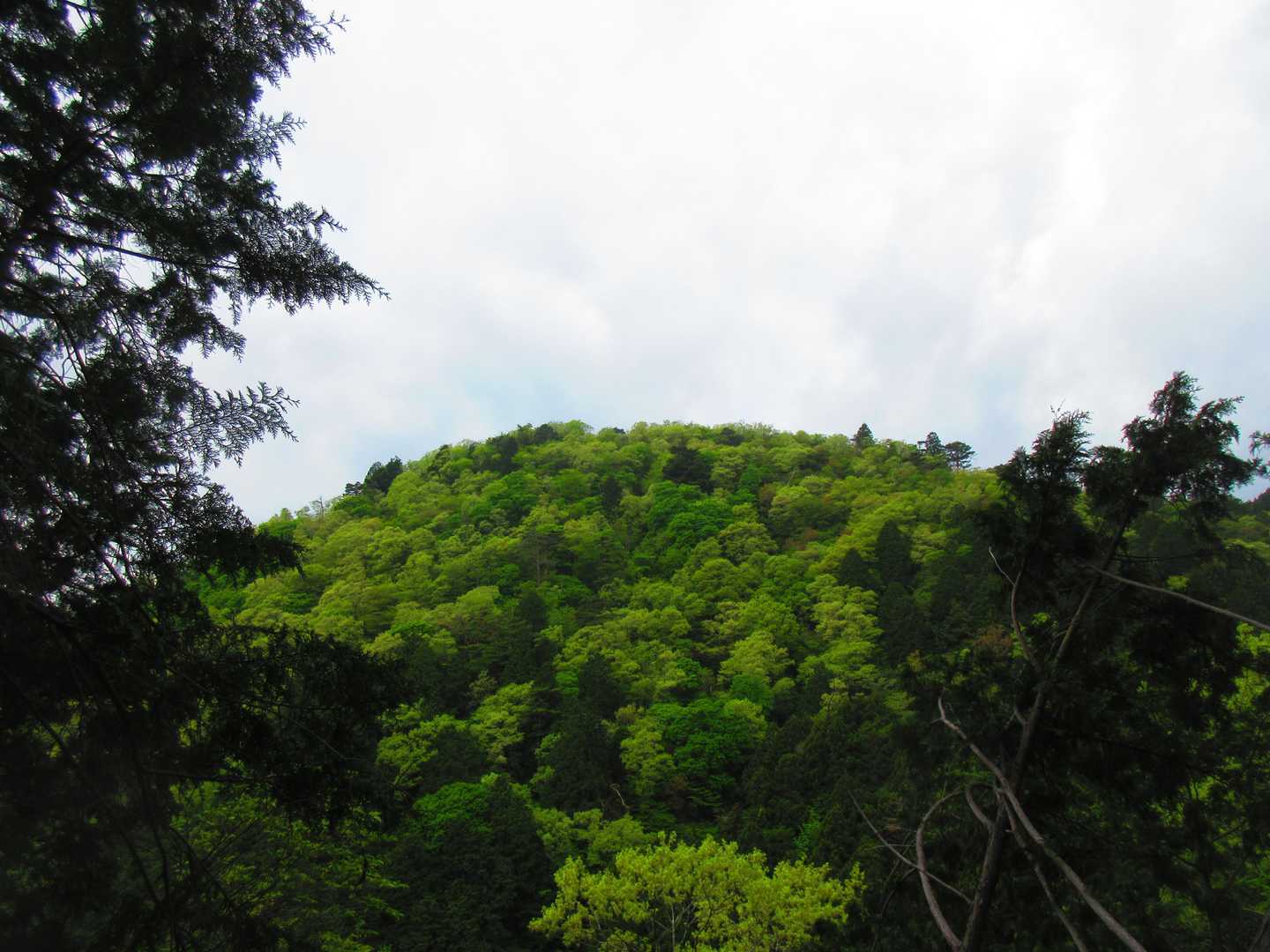 天ヶ岳