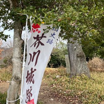 山頂の芥川城跡に着きました。

山頂には パンフレットも置いてくださってて✨ それによると "戦国最初の天下人の城" とあります😳
