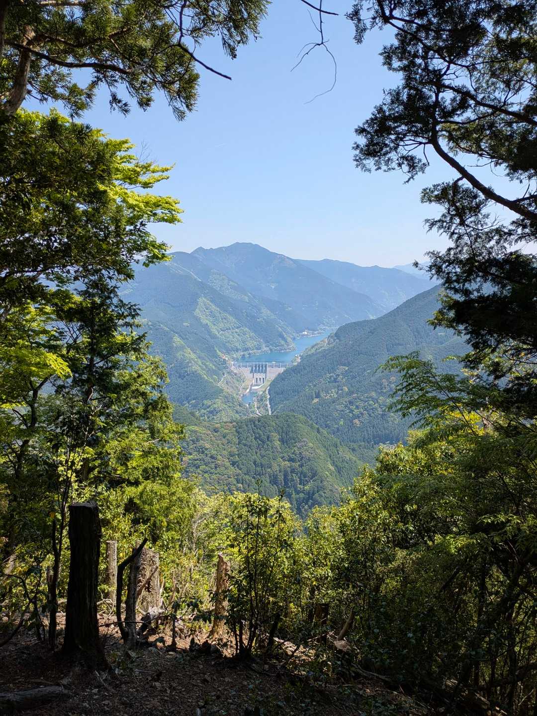 青根ヶ峰登り口-青根ヶ峰 周回コースの写真