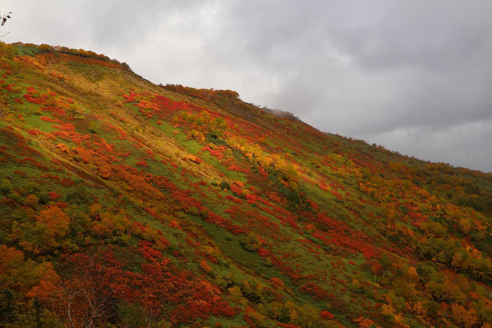 赤岳登山口-第一花園-赤岳 往復コースの写真