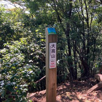 ラスボスの大高山。