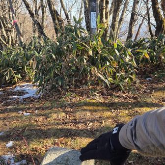 佐々連尾山 1404m 着いた！
タッチ！