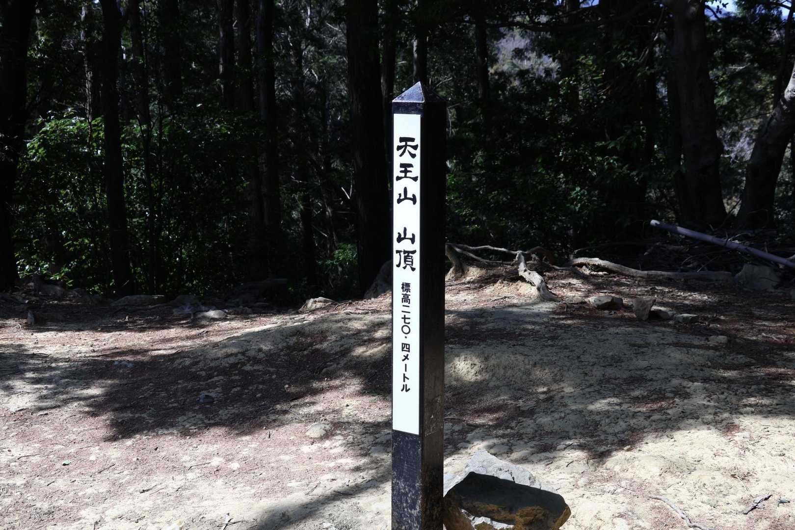 登頂したので速攻下山🚶