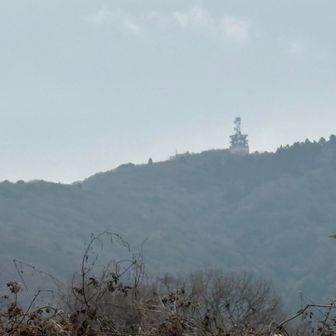 下山したら山頂見えてる〜🤣


最後までご覧いただきありがとうございました♪
