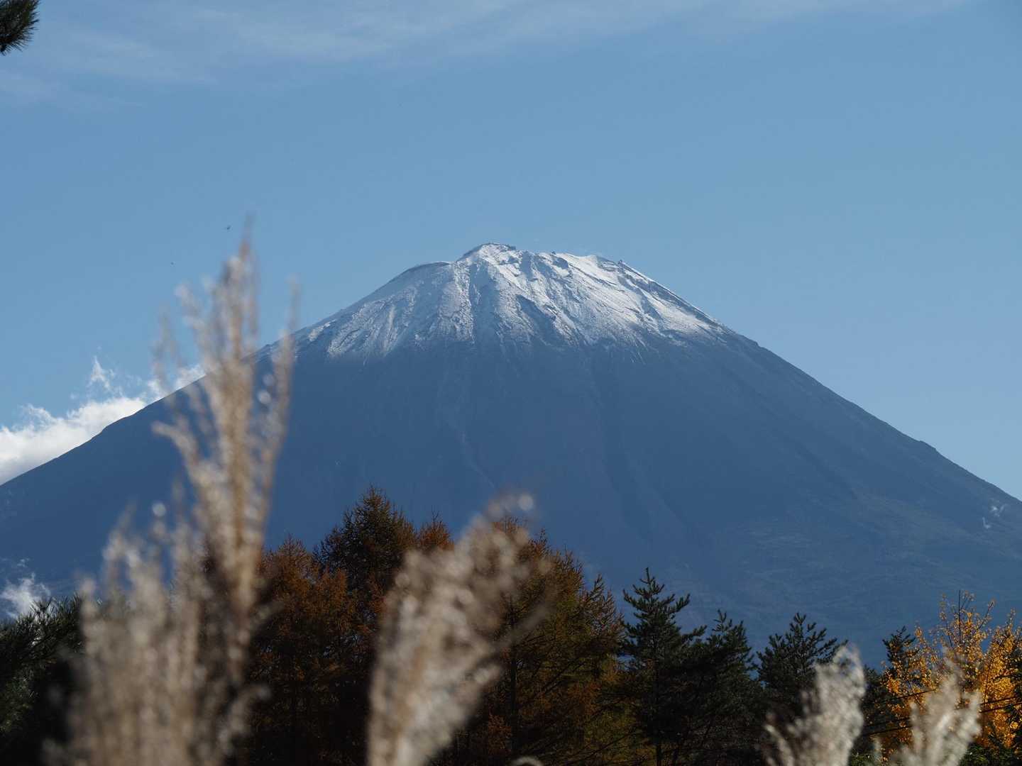 魚眠荘前バス停-東入川堰堤広場登山口-鬼ヶ岳-鍵掛峠-鍵掛 周回コースの写真