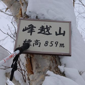 ピーク、峰越山
標識が高くて届かん