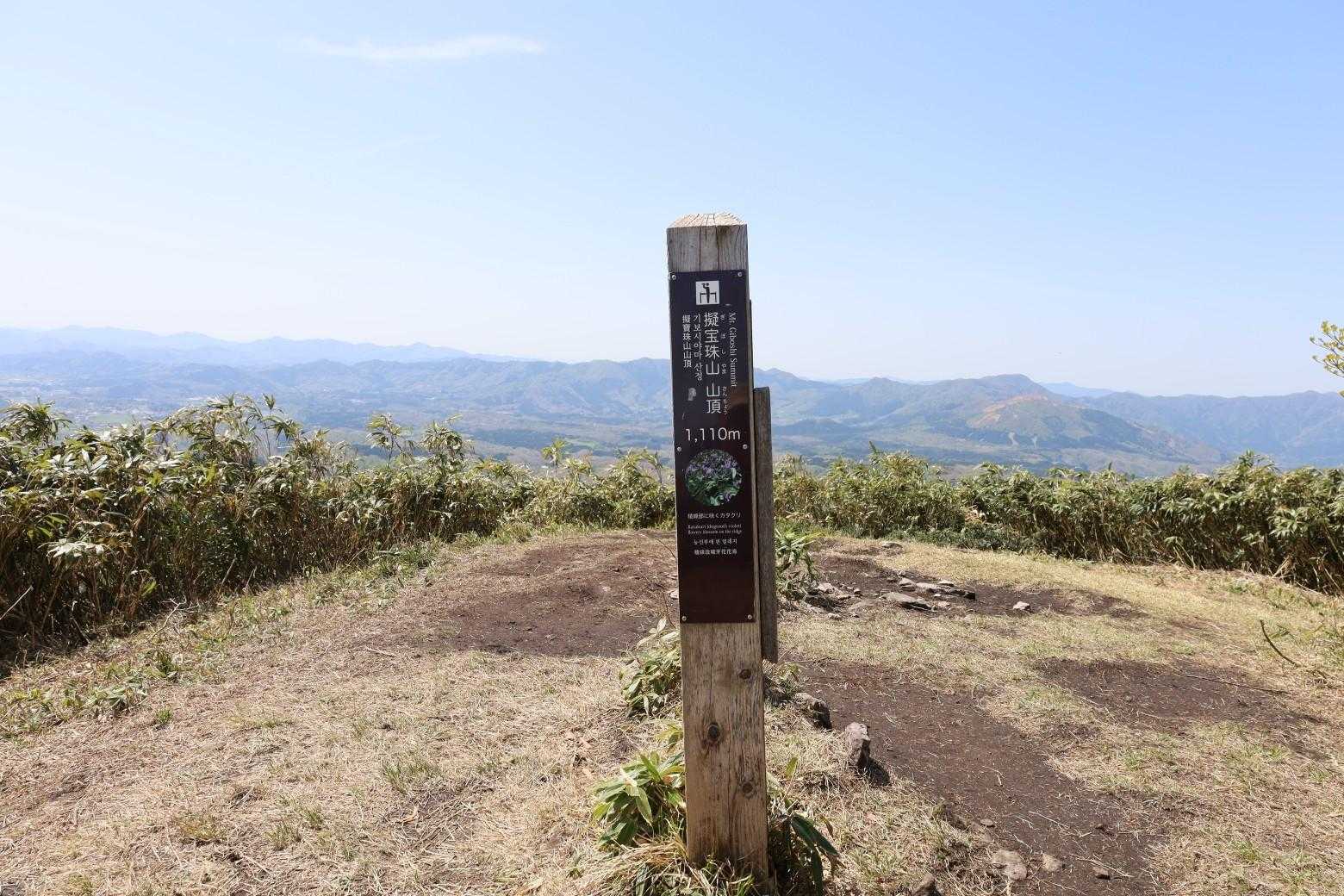 擬宝珠山 山頂