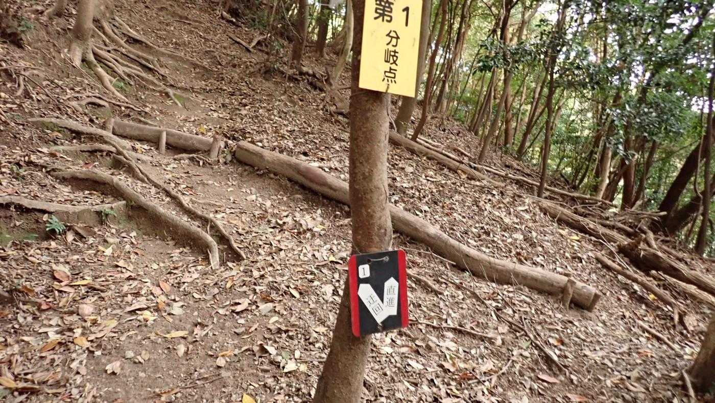 分岐は直進と迂回。
直進＝近道＝急登となるが、登りは直進で行こう。