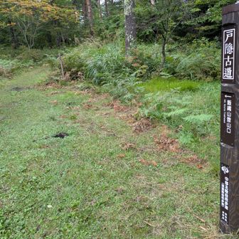 こちらへ進めば車道歩きが短くて済む