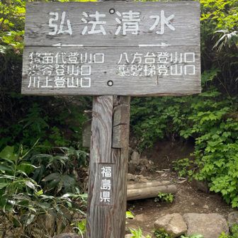 さぁ、最後のひと登りです。