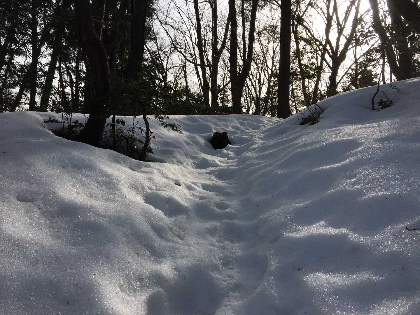 この感じを味わえるのも
あともう少し