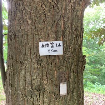 山道みたいな遊歩道をたどって 一番高いところに行くと『座間富士山』と書かれている表示