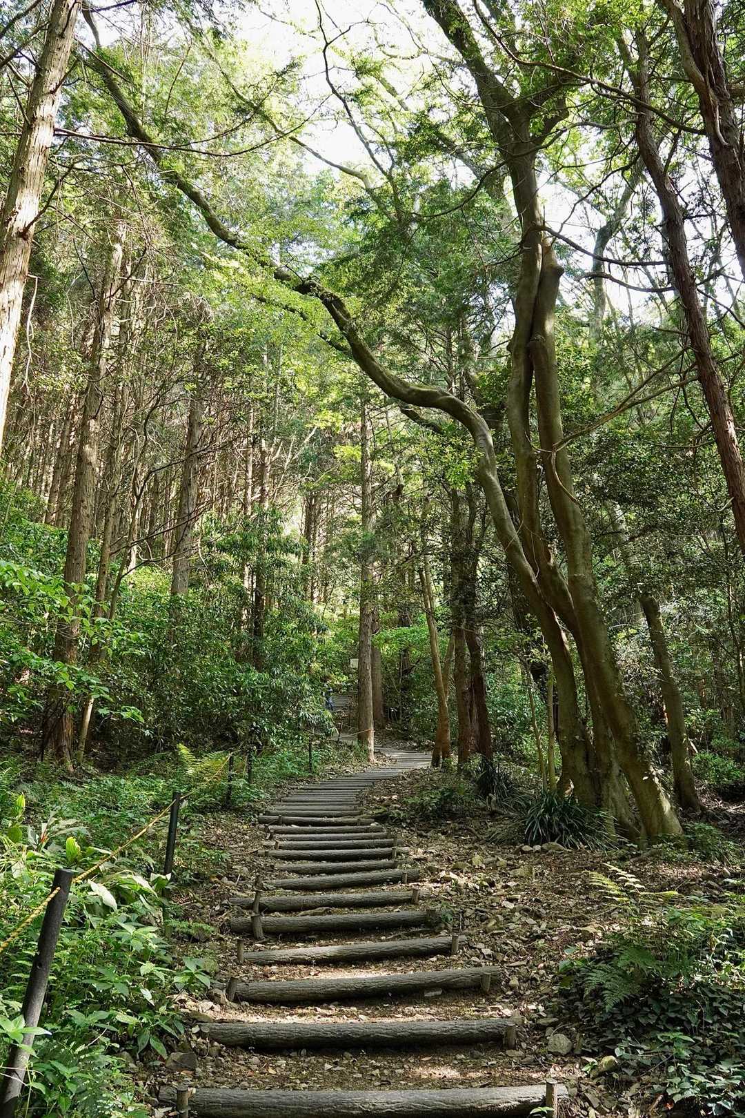 宗像四塚縦走コースの写真