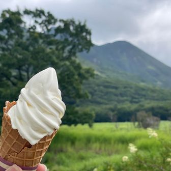 ご褒美ソフト
