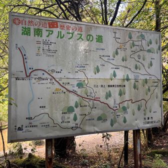 案内板