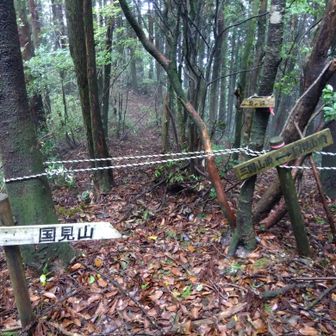 活動記録はあるけど鬼の洞は行っていいのかな？立入禁止までは記載ないです🤔
