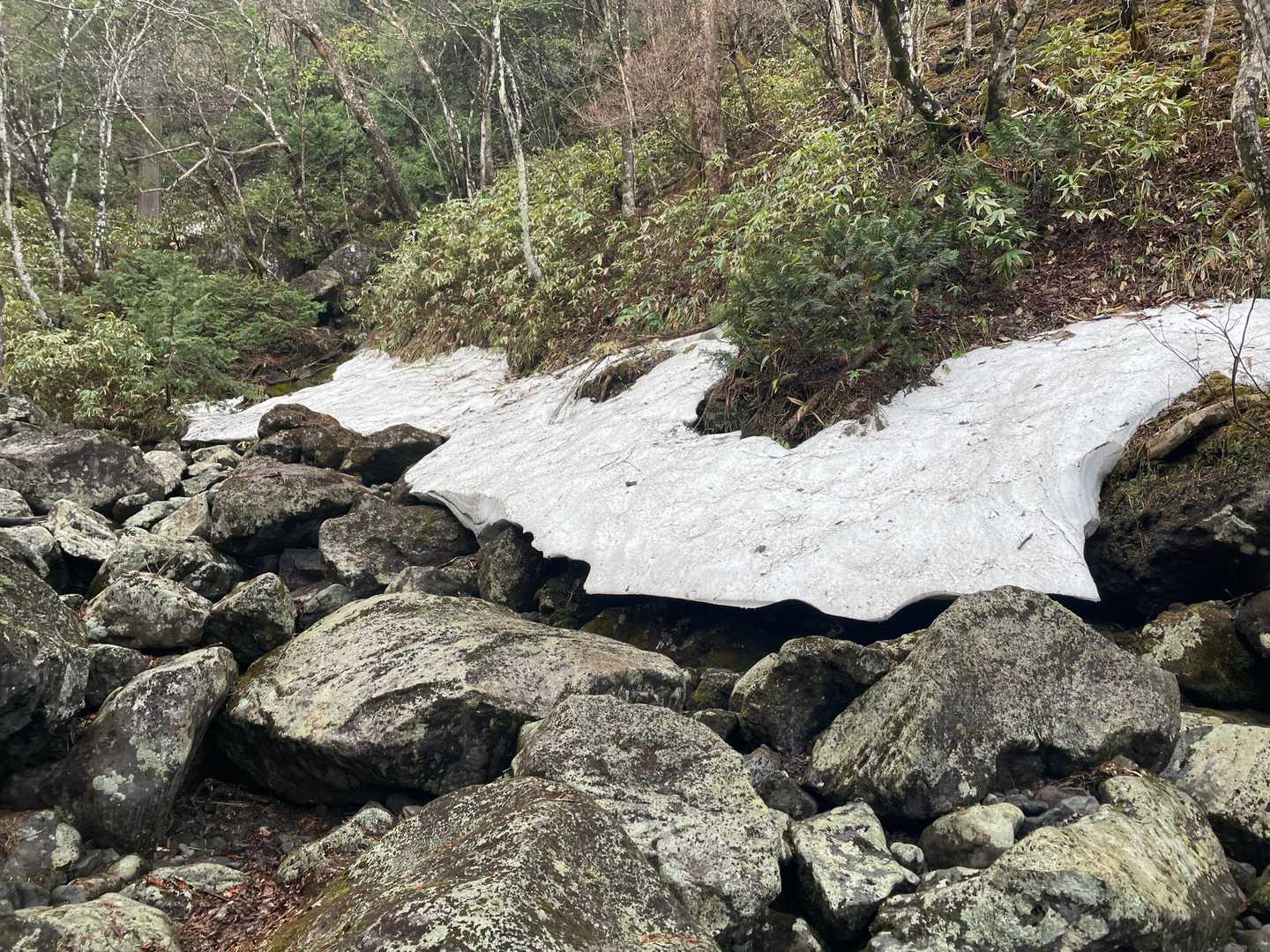 白笹山-南月山-日の出平-日の出平登山口 周回コースの写真