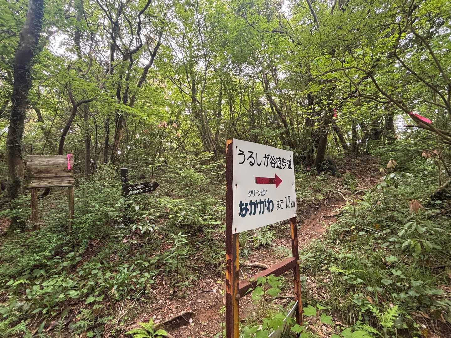 五ヶ山に行く途中はもの凄く迷って🌀