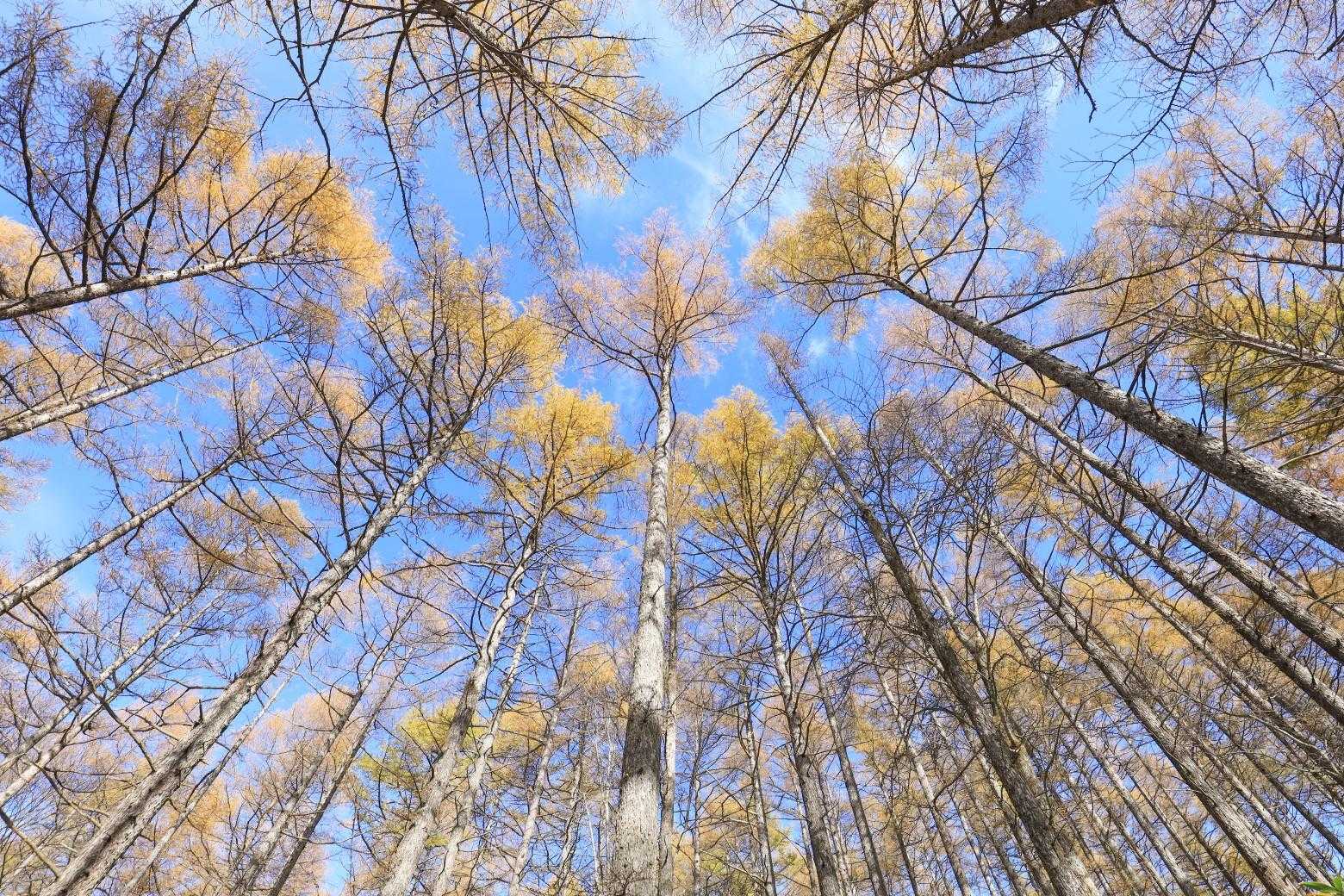 進みます

上もキレイ〜💛🌳💛🌳