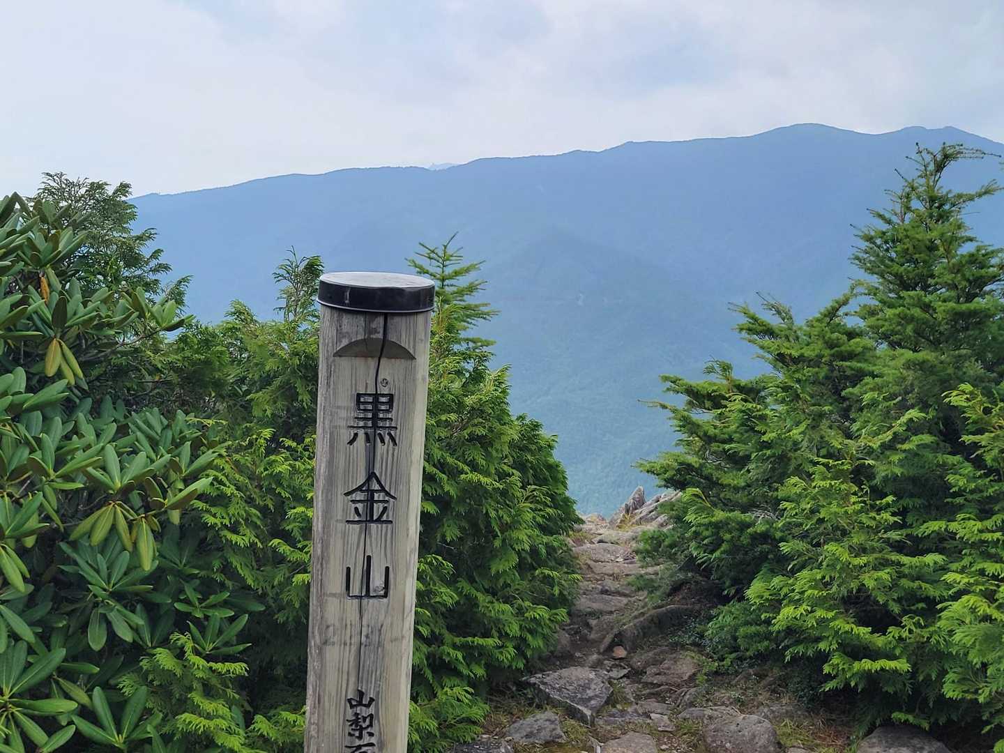 景色が一気に広がります