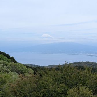 駿河湾越しの富士山🗻が見えましたが、どこか霞んでいて、少し物足りない眺めでした😅
この場所は、1939年のニューヨーク万国博覧会に、日本を代表する富士山の展望地として写真が出品され、「富士山がある風景100選」にも選ばれています📝
また戻って来るので、その時はきれいに見えたらいいですね😊