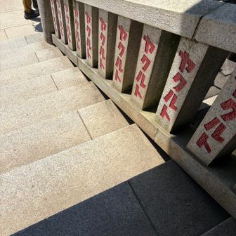 ヤクルト気になりました