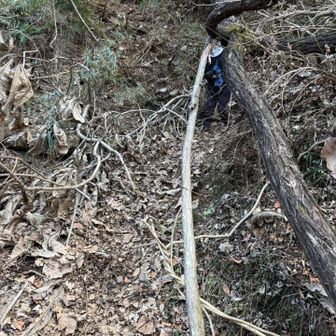 ここが一番荒れてたところかも。枯葉の足元＋倒木潜り。でも危険なし。