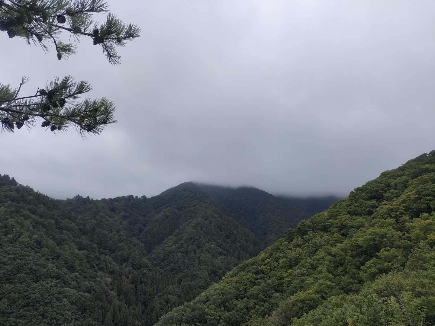 上の方はどこも雲の中
