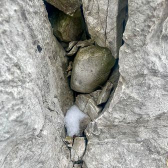 岩に守られて残ってる雪❄️