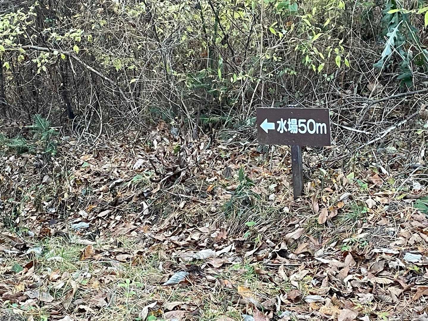 水場があるみたいですね