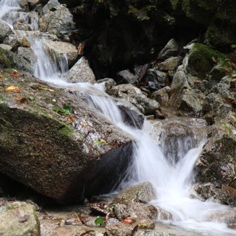 水量多めで涼しい🍃
