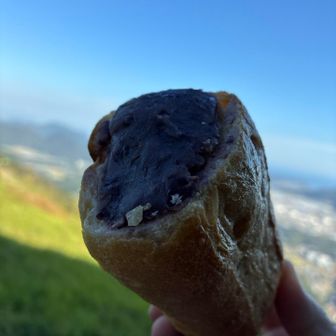 美味さが伝わらんどころかこの写真では、ワイもまずそうに見えるわオエッ